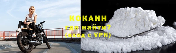 индика Абинск