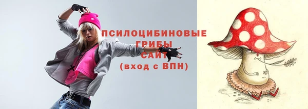 индика Абинск