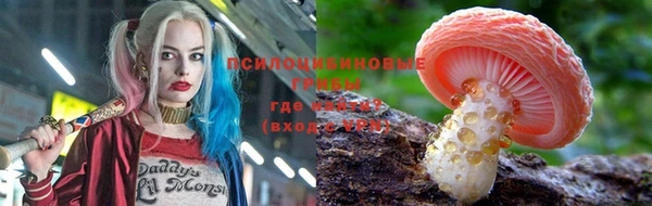 мескалин Алексин
